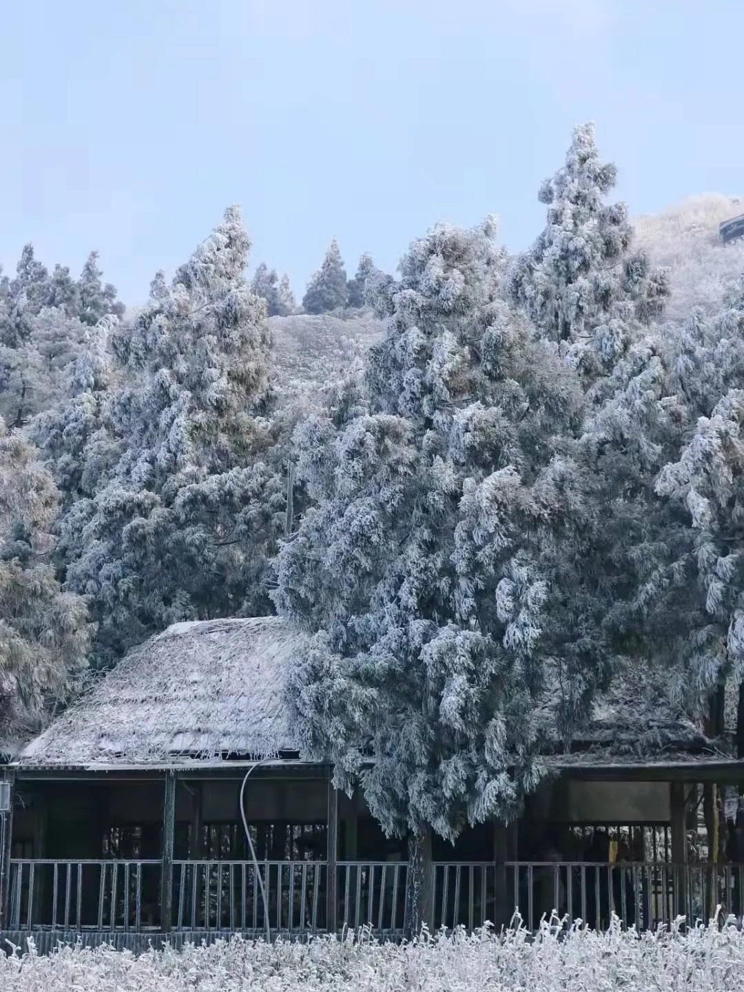 天台|天台绝美雾凇打卡地！这里有着南方人对冰雪的天然向往……