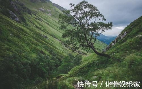 旺家旺|阴历此月出生的孩子，一个比一个有出息，旺家旺父母，懂事伶俐