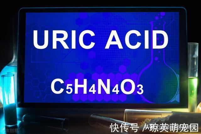 别嘌醇|近一半高血压患者同时存在尿酸高,它们相互促进?治疗有何讲究?