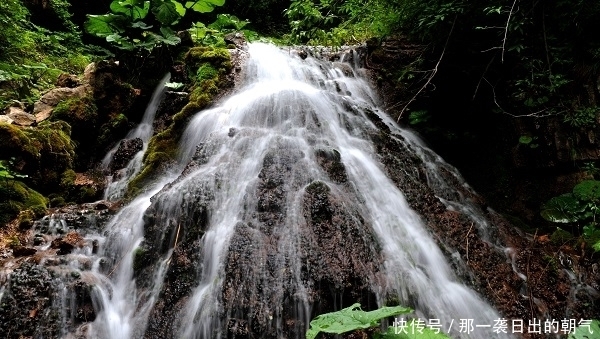 清明旅游，这一大旅游景点一定不能错过，美的不像话！