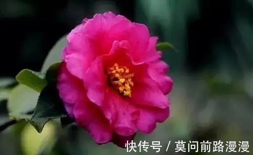 旺盛|过了9月9日后,好运来临,财运旺盛,财神呵护,人生再也忧愁