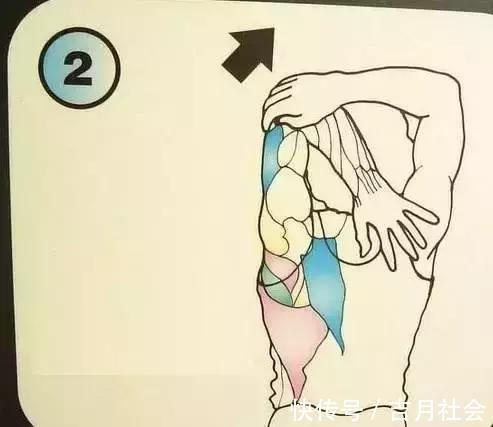 拉筋|每日拉筋的10个方法，正确的拉筋让你越拉越年轻