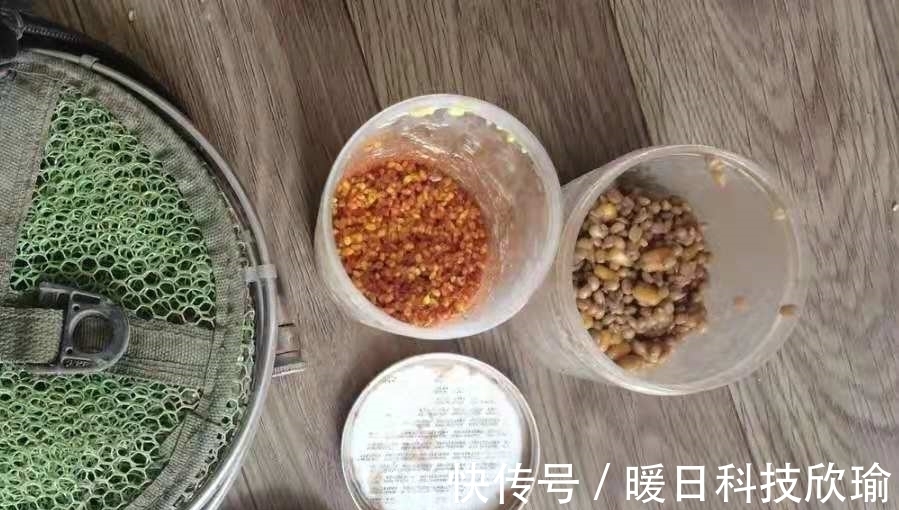 一尾|怪不得草鱼上了一尾又一尾,后悔才知这诱鱼诀窍,十年老钓手都服