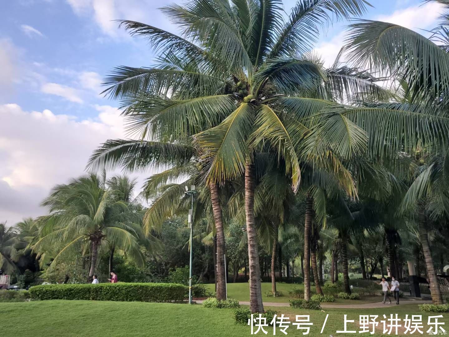 暖阳|你在北方冰天雪地，我在南方享受暖阳