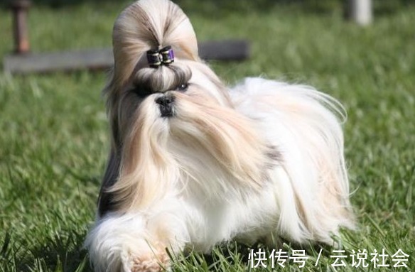 新源法院各业务庭审判管理工作更加步入正轨