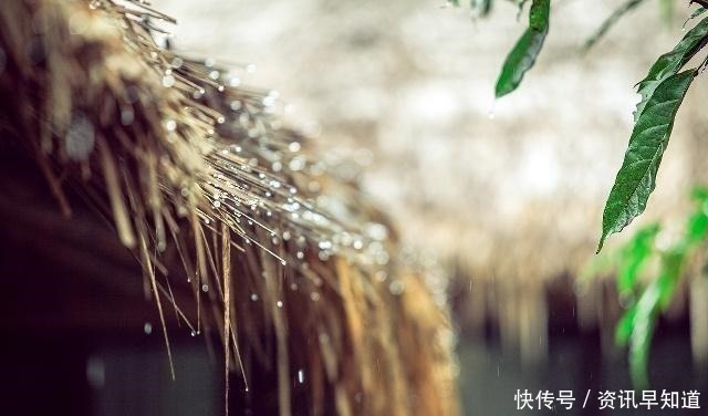 一声声一更更,点滴芭蕉心欲碎,7首古诗词,听雨落下的声音