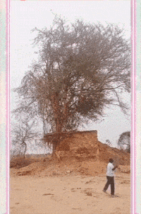 |搞笑GIF:待你长发及腰,我真想帮你剪掉