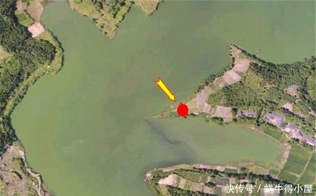 春季钓浅滩，5种“浅水”鱼扎堆，选对了位置，不愁钓不到鱼