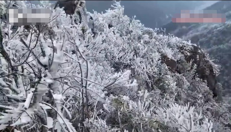 下雪|“佛山大道”下雪视频疯传！真相来了