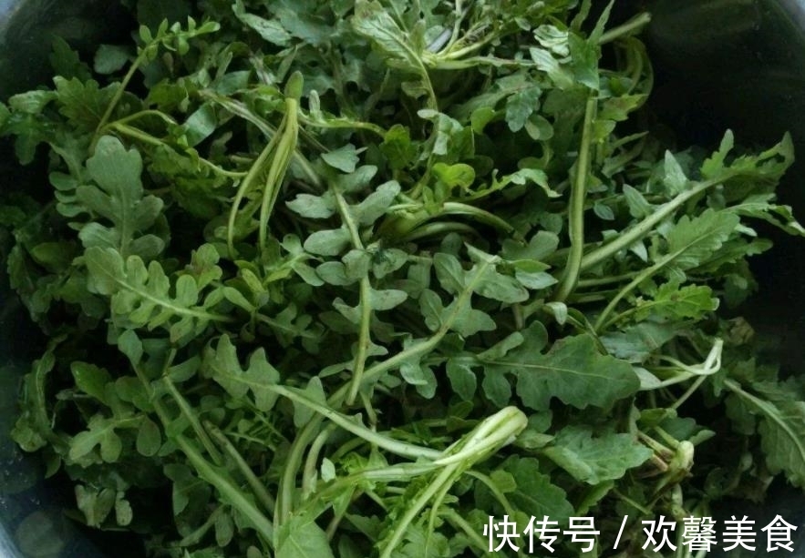 饺子|含钙量比牛奶高,常吃对眼睛好,3块钱一斤,用来包饺子才好吃