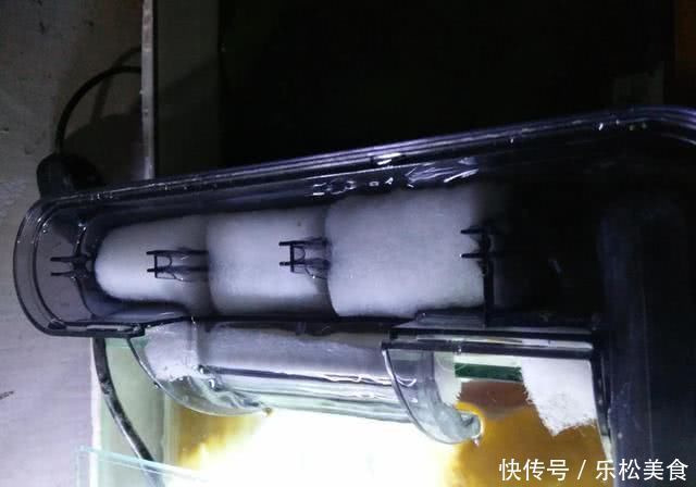 三种操作可导致鱼缸水质迅速恶化,在水质没稳定下来会更严重