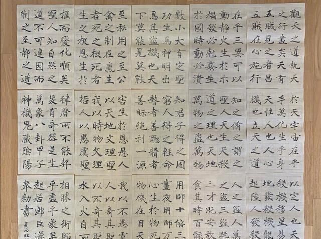 阴符经|“书法家”夏雨,用褚遂良笔法写唐诗,这水平,值得一赞