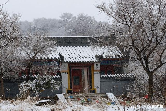 聊斋故事$聊斋故事拘魂道长