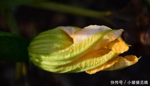 冬天女性，可以吃3种食物，排出毒素，净化血液，滋养女性子宫