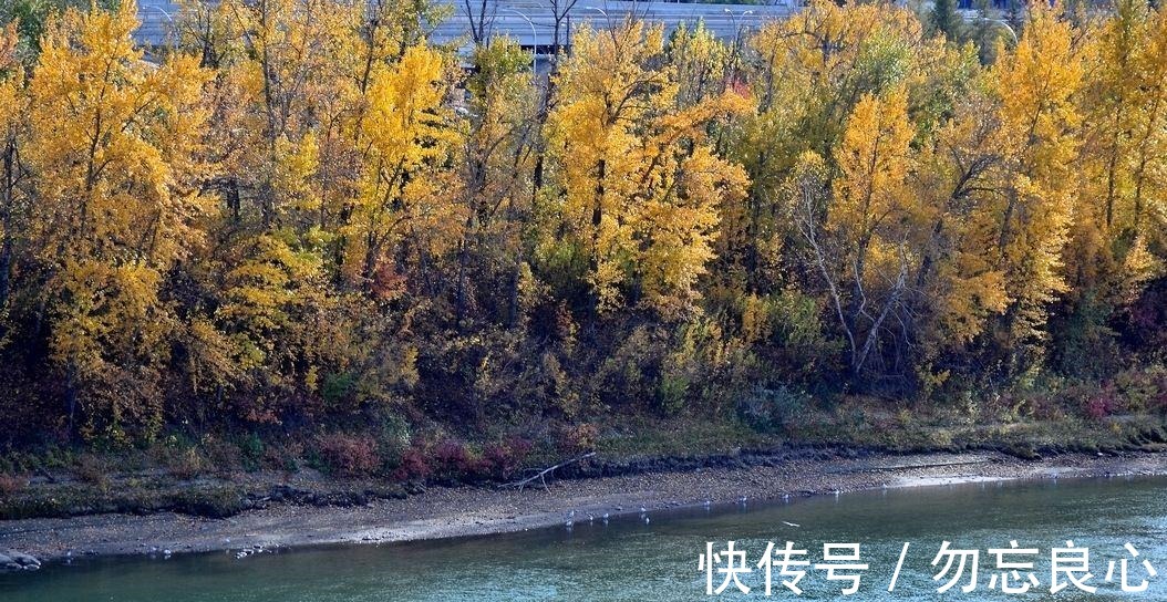 诗人&曾比肩李白的诗人,现在却只有一首诗为人熟知,典型的诗红人不红!