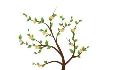 更上一层楼|凭第一眼的感觉,哪棵树最入你眼测未来你的孩子会不会有出息