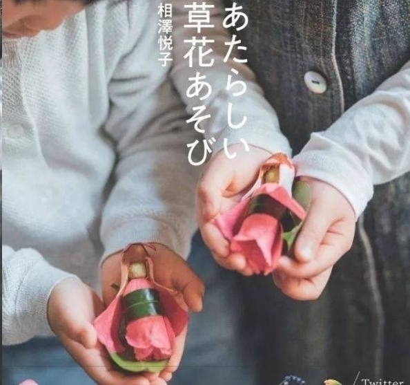 折纸|日本女网友凭借折纸裁剪手艺,将花草变成治愈人心的作品走红网络