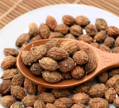 益智仁|肾冷,尿多,古人只用三味药,轻松解决!这里学问难以想象