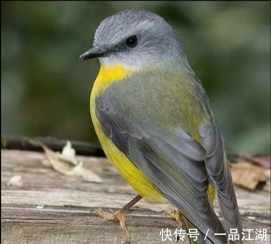 24个冷知识:生物老师看完直呼不可思议,但却真实存在的有趣知识