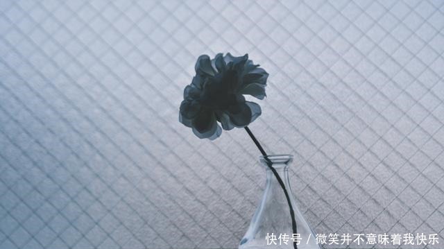 每天思考20句话,多读践行,早晚遇见最好的自己!