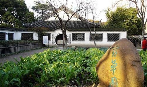 毛发|鲁迅去世当天,好友留下他22根毛发粘在石膏遗容上,现成一级文物