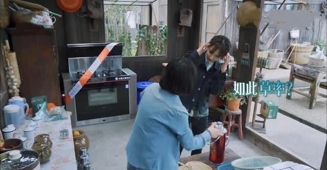 闲适 杨紫张艺兴让节目更有趣?不改变这点《向往的生活》真难让人向往