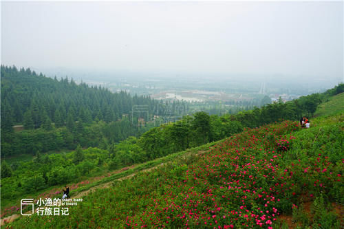 西安秦岭秘境花谷，终南山环绕中的立体画卷，春光无限、花开正浓