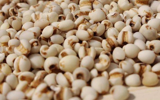 黄芪|枸杞搭配“一物”,连喝1周,健体强身,免疫力提高,把肾补满了