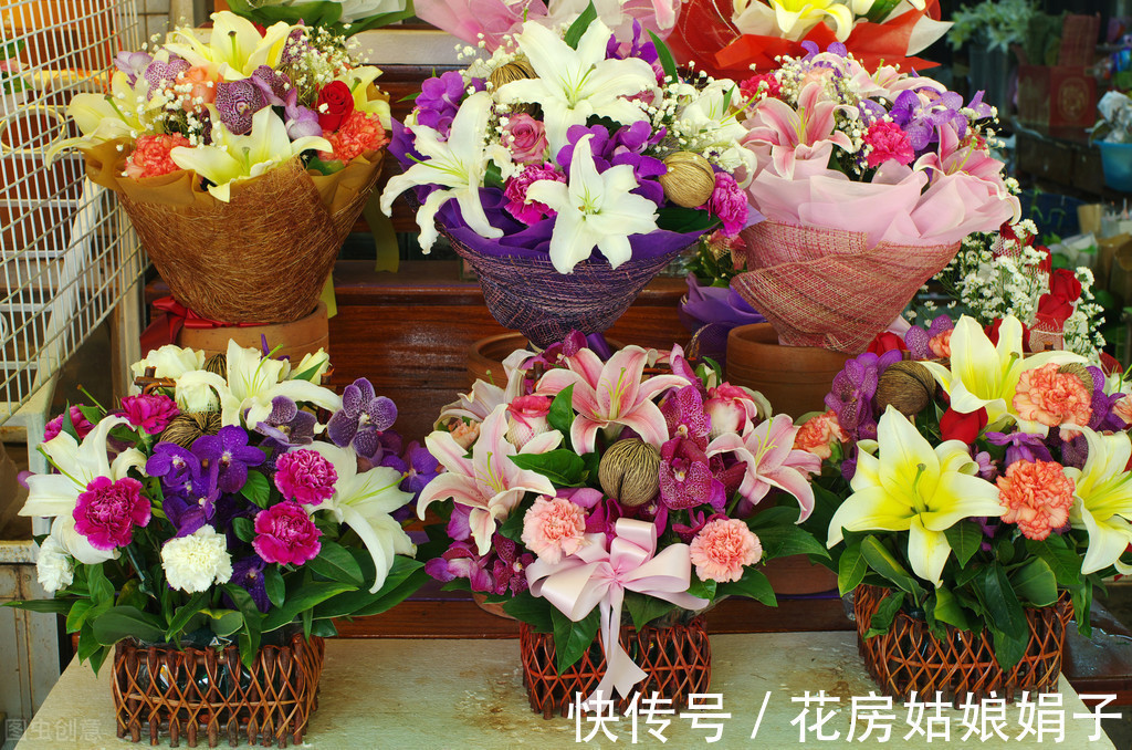 娟子|花市买回来的花，会出现各种不适，教你4招，轻松适应新家