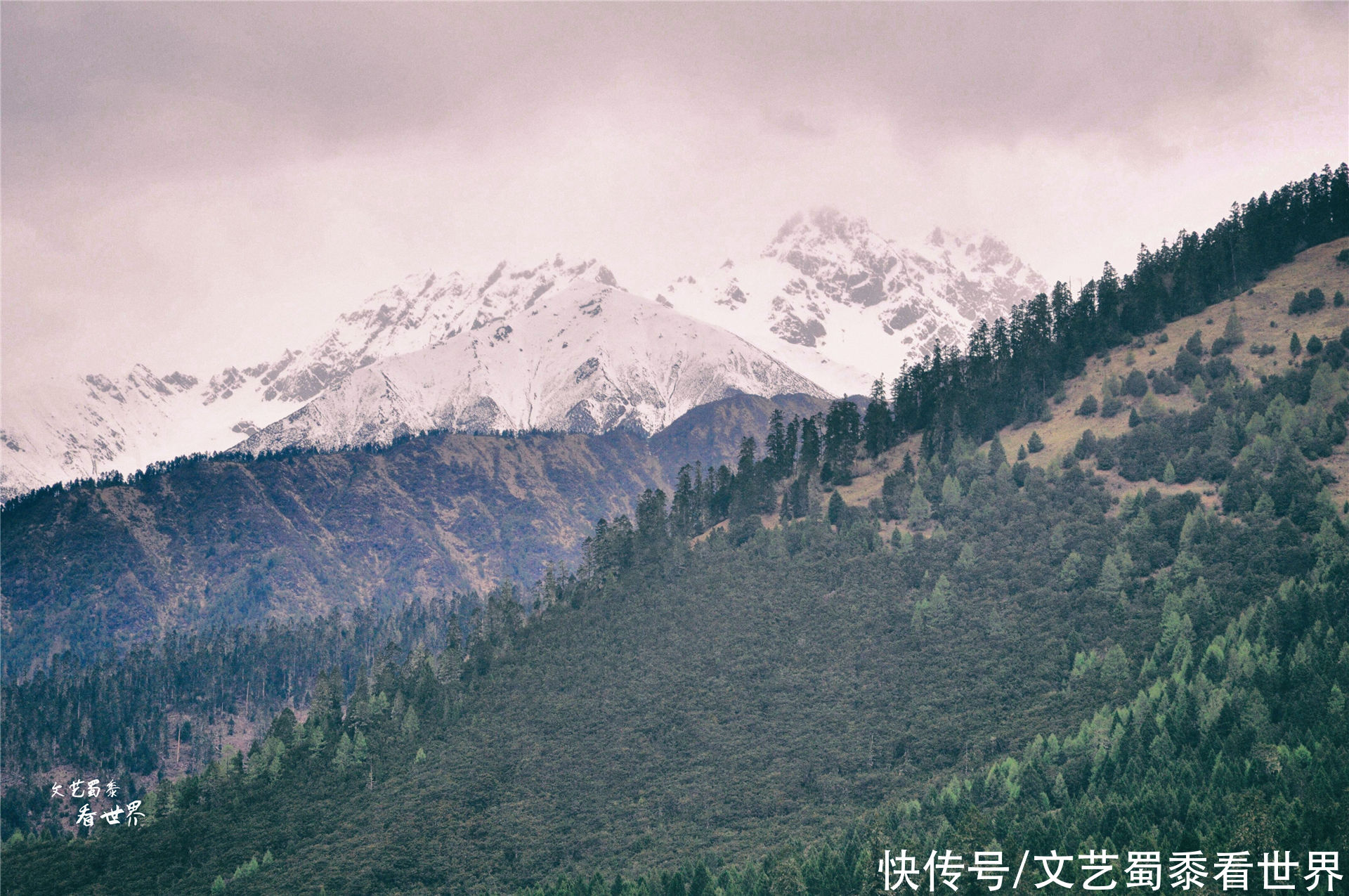 在川藏线上有一个仙境一样的村庄，鲁朗扎西岗村，去过的人并不多