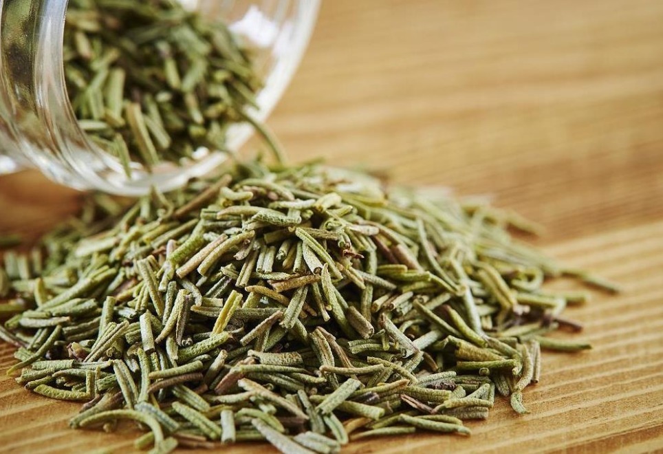 茶叶不能拿来养花，全扔了，真傻！一加工制肥，啥植物都能用