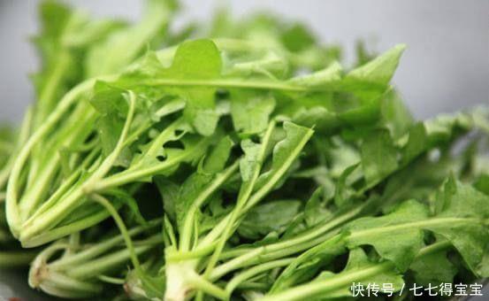 有益|农村常见的3种食物,营养丰富,经常食用有益身体健康!