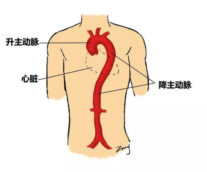  突然“心如刀割”？警惕冬季的“隐形杀手”！|二十四节气·冬至 | 隐形