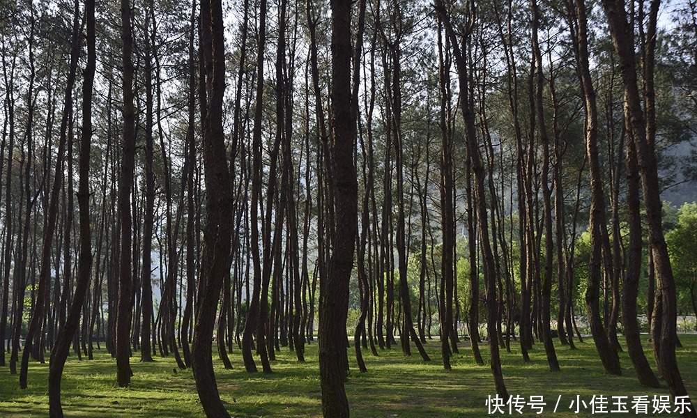  永嘉书院—快活林