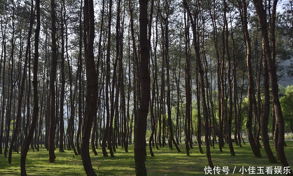 永嘉书院—快活林