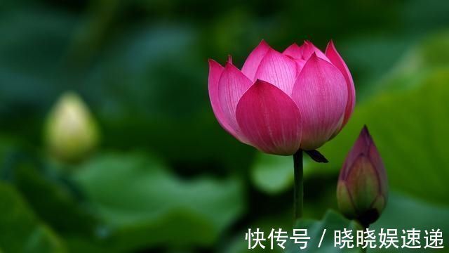 法则|老子宇宙最高法则,只有8个字,悟到的人,迟早会出人头地