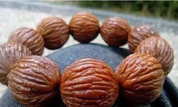 核桃|猴头核桃,你对它了解有多少?