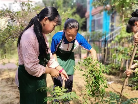 劳动教育|奎文区圣卓实验学校让劳动教育落地生根