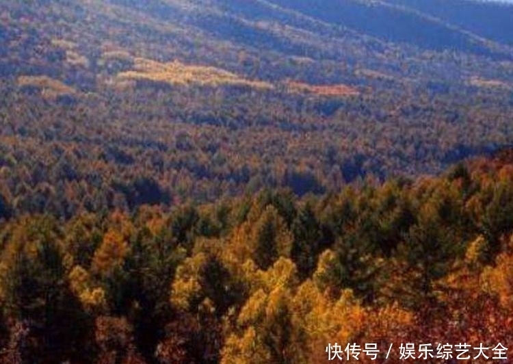 片土地|日本在东北藏了多少宝贝？日本老兵说漏嘴：藏在此，没人找得到