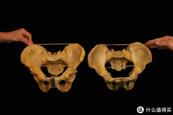 受试者|干货│如何正确找到完美的深蹲站距？