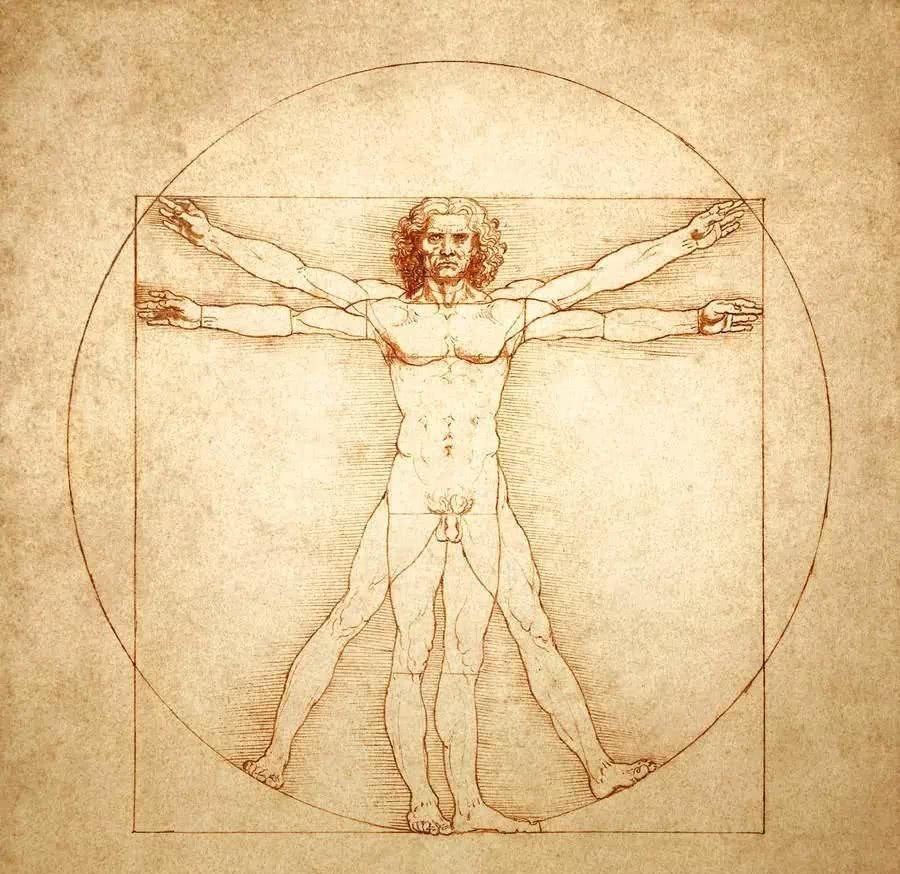 周年|达·芬奇逝世500周年,这些手稿却还鲜为人知