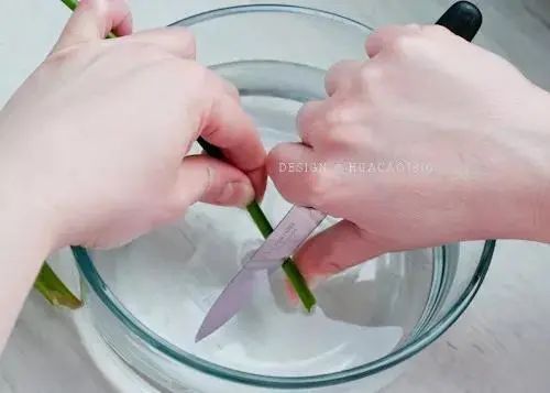 插花|如何让家中的鲜花更持久保鲜？试试看这几种方法～