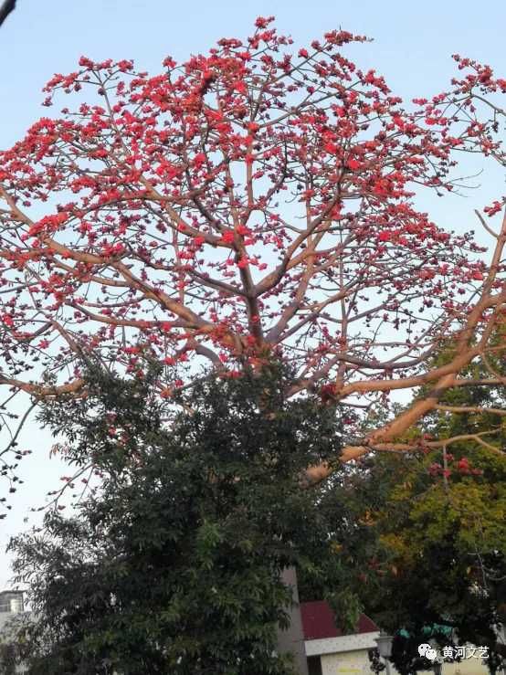 秋日登水山绝顶/张宗旭/尹燕忠辑