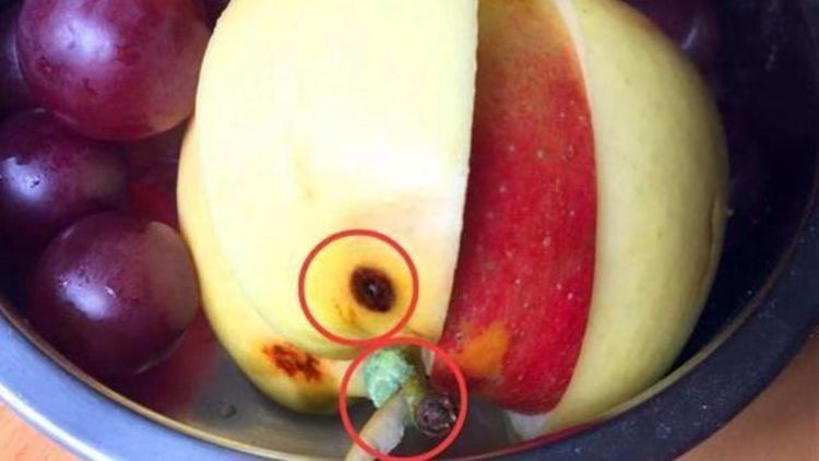 园方|幼儿园老师晒孩子的餐后水果,宝妈看后怒了:几万块学费买坏水果