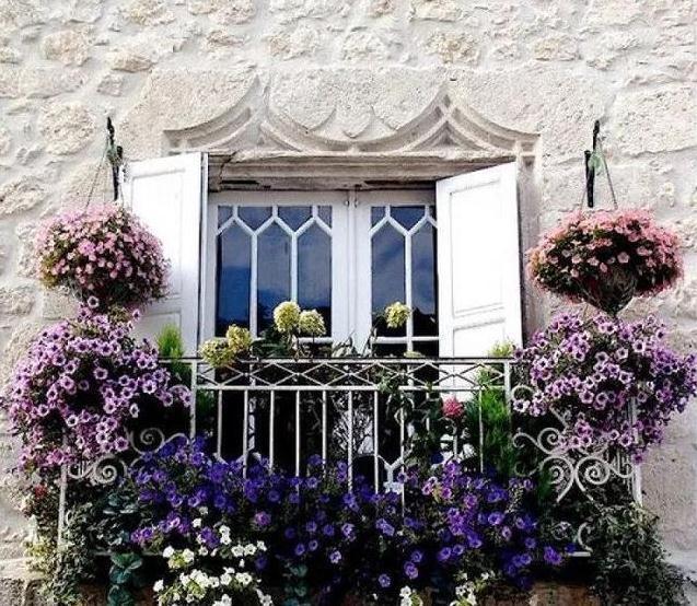 阳台太小养不了花,教你3个小妙招,小阳台轻松变成小花园