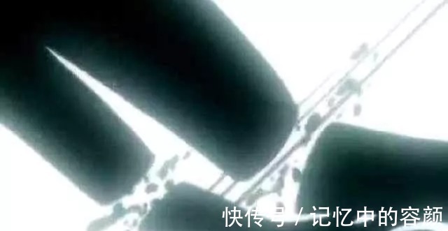 bug|海贼王出BUG了，路飞最致命的缺点被补丁了，尾田强行升级路飞