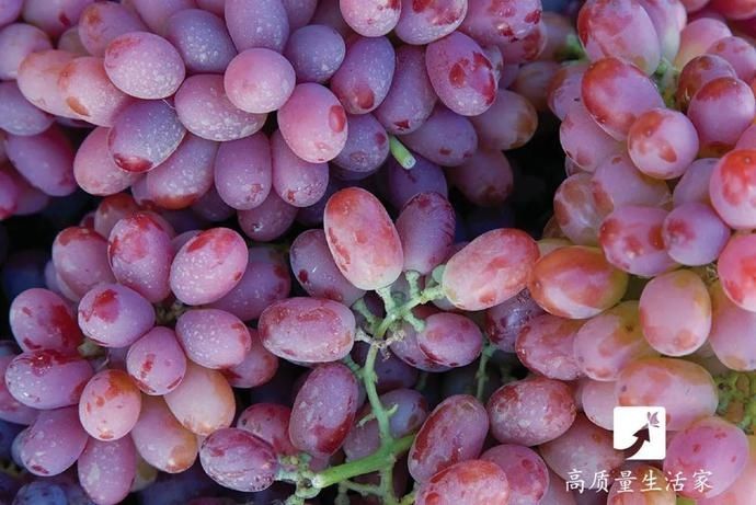  好吃|提子好吃皮难剥，别急，一个妙招轻松搞定~