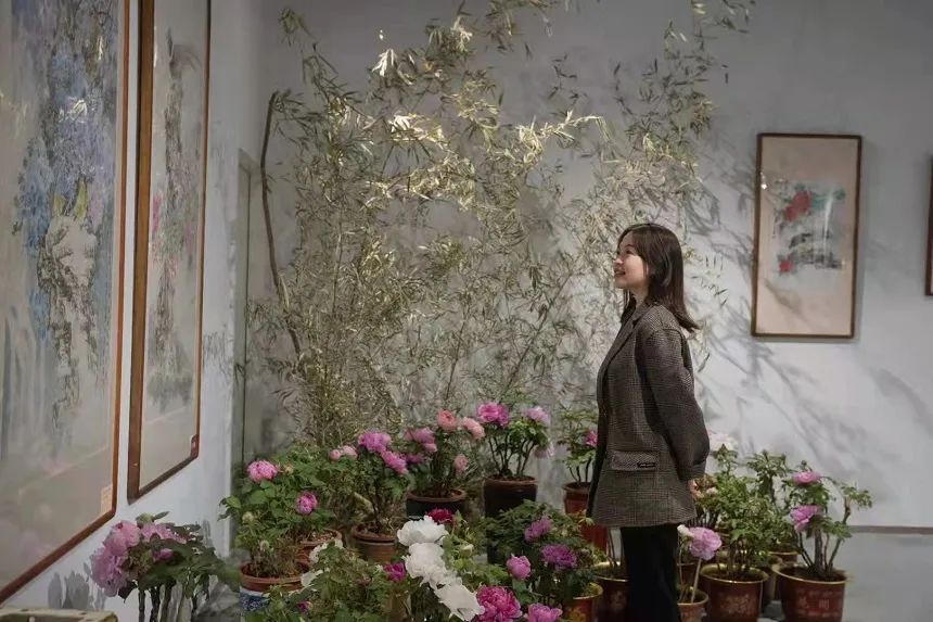 国色天香@唯有牡丹真国色,花开时节迎新春