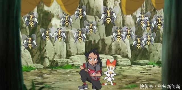 宝可梦剑盾6集菜鸟训练家小豪出道,收服精灵不打全靠扔球!