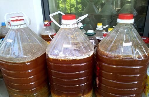 枝条|此种开花水喷一喷,一次开花20朵,枝条都压弯啦!